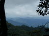P8100456.JPG